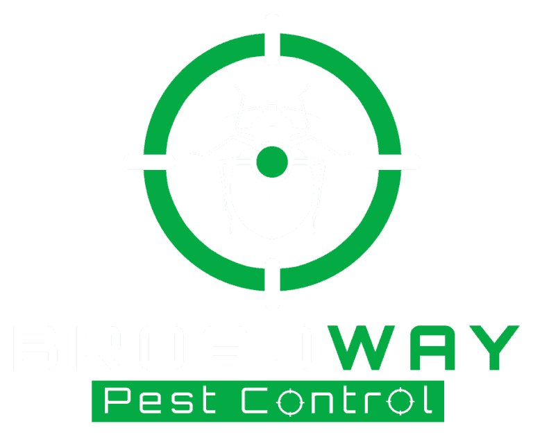 Best Pest Control Company Surrey, BC - Pest Exterminator Near Me