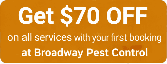 Pest control services in Broadway Pest Control, Toronto.